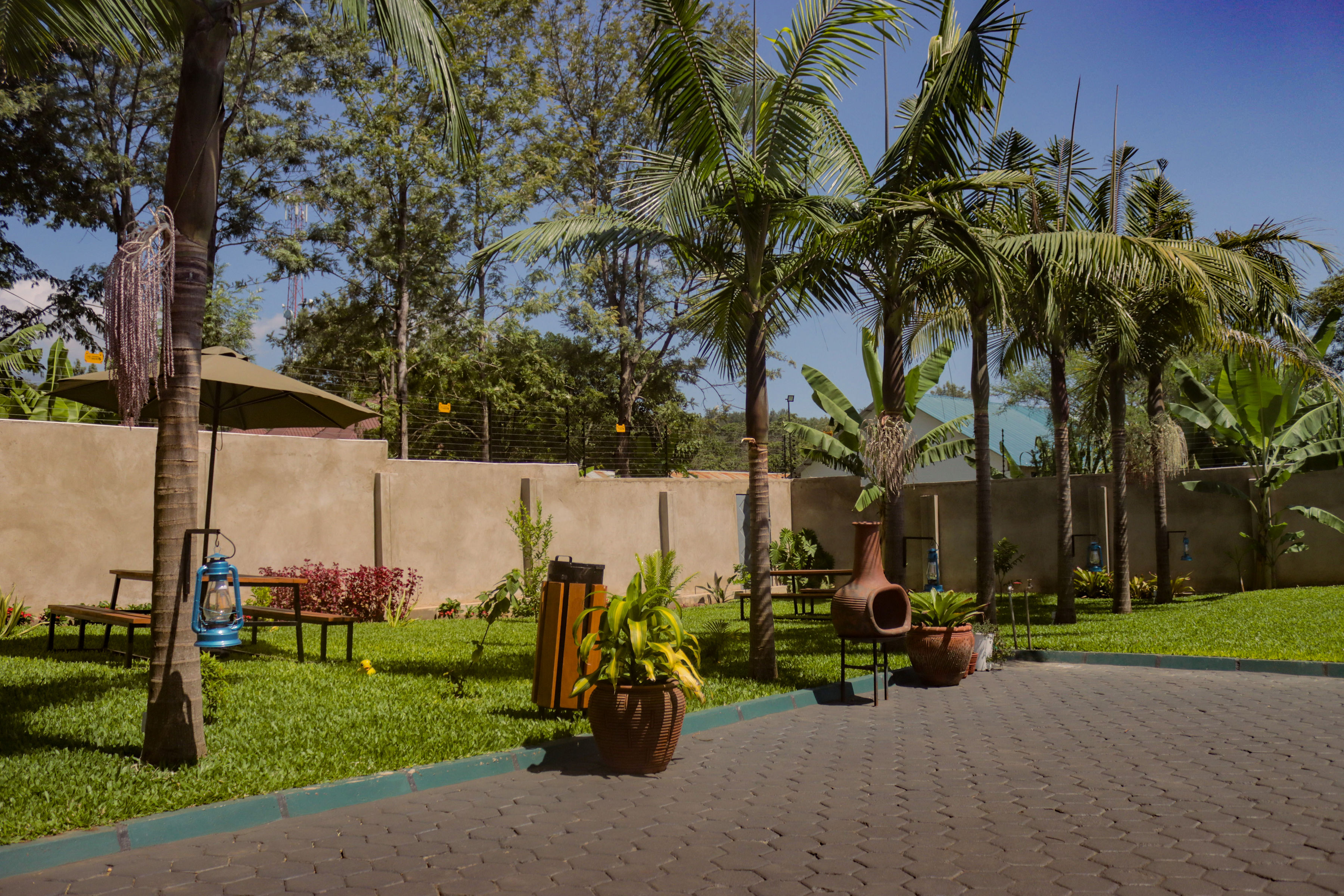 The Ultimate Guide to Exploring Arusha, Tanzania